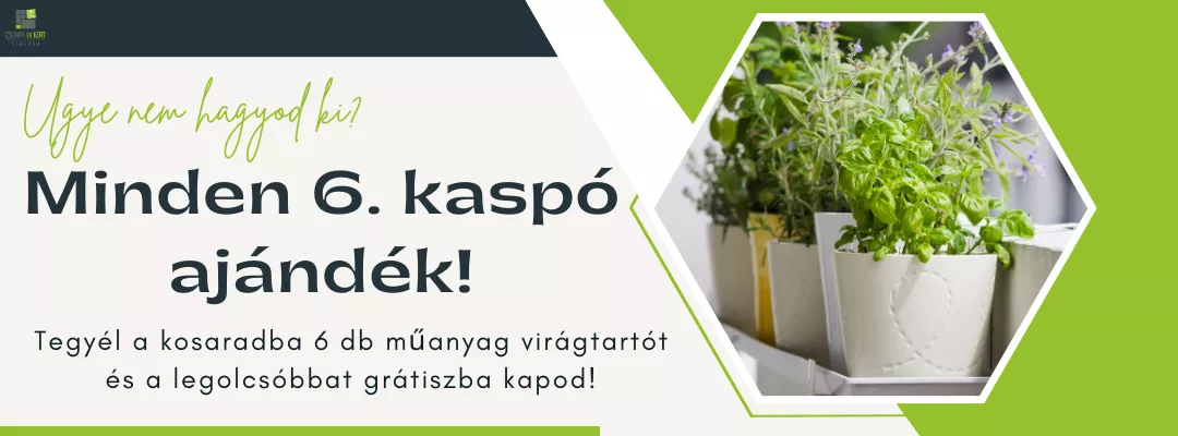 Műanyag kaspó akció 1