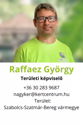 raffaez gyuri