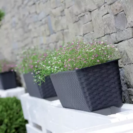 Rattan hatású műanyag peremes balkonláda fehér ( ISR400P/S449 )