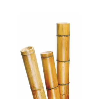 Növénytámasz bambusz 10 x 300 cm