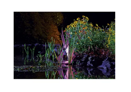 Oase- Színes fényszóró- Profilux Garden LED RGB (42638)