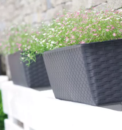 Rattan műanyag peremes balkonláda 80 cm, mocca