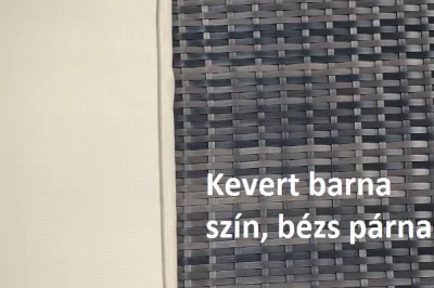 Rattan kerti étkező garnitúra 8 személyes, barna (10037B)